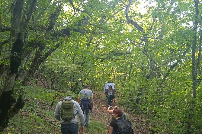 Day Walking Tour in Vashlovani Prot. Area(Eagle Gorge)with Lunch - Transportation and Accessibility