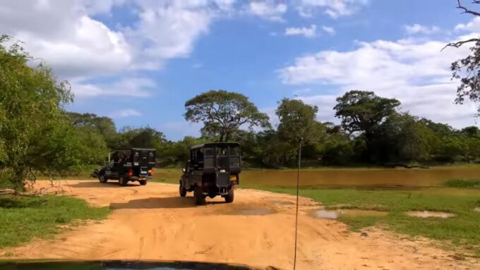 Day With Elephants at Udawalawe National Park & Transit Camp - Frequently Asked Questions