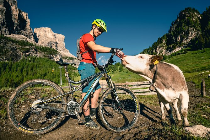 Day With Private Bicycle Guide in Cortina Dampezzo - Renting the Bicycles