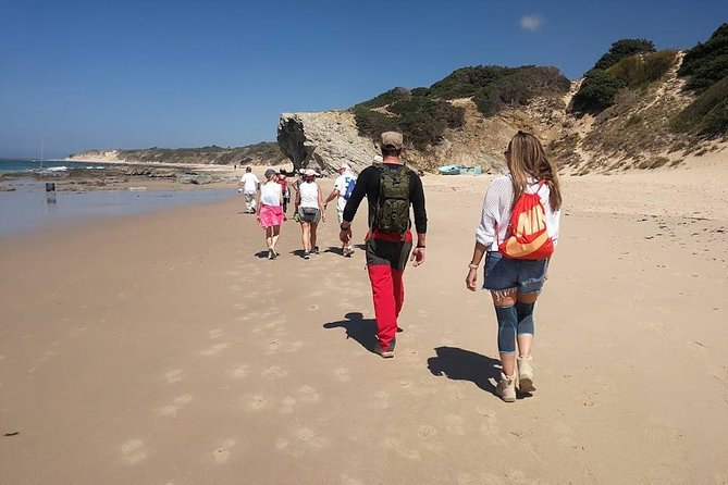 Dayhikes With Pick-Up From Marbella and Estepona - Pickup and Drop-off Details