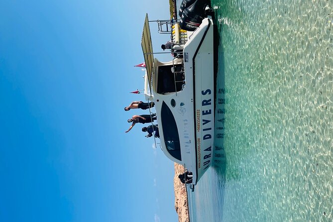 Daymaniyat Islands Snorkeling 2 Different Snorkeling Sites and Lunch Included - Detailed Itinerary