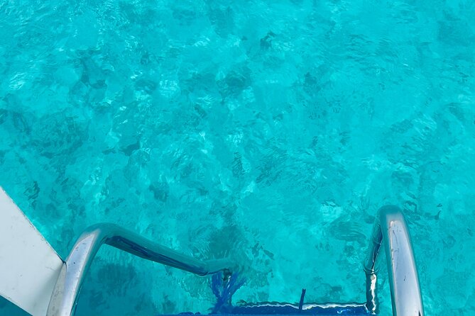 Daymaniyat Islands Snorkeling 2 Different Snorkeling Sites and Lunch Included - Guest Reviews and Ratings