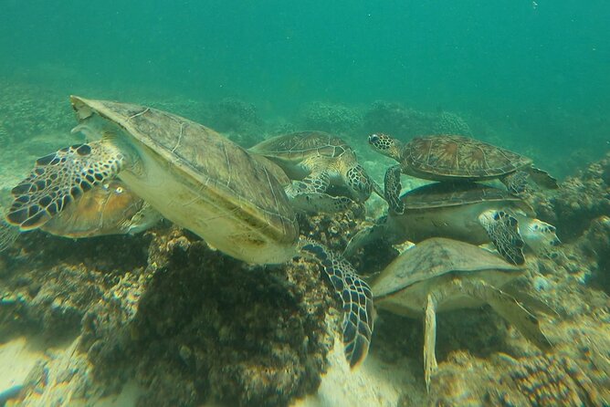 Daymaniyat Islands Snorkeling Adventure From Muscat - Schedule