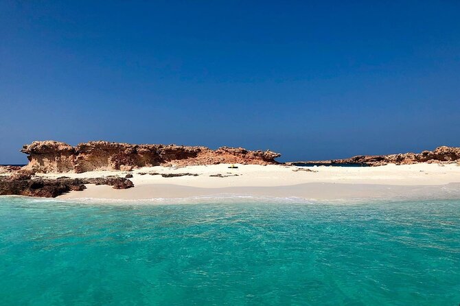Daymaniyat Islands Snorkeling Half-Day Tour - Pricing and Reservation