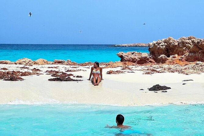 Daymaniyat Islands Snorkeling Half-Day Tour - Tour Highlights