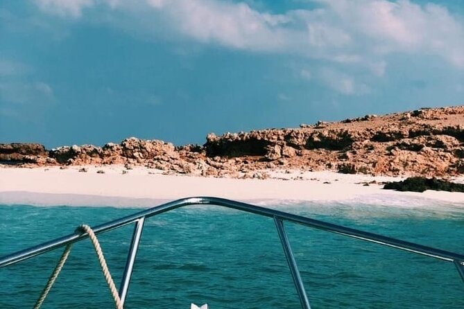 Daymaniyat Islands Snorkeling Half-Day Tour - Guest Reviews