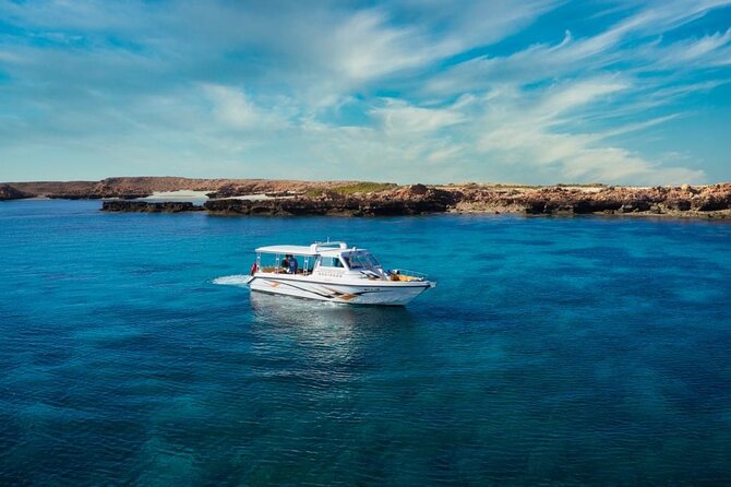 Daymaniyat Islands Snorkeling Sharing Trip - Confirmation and Accessibility
