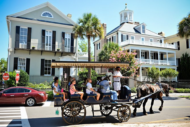 Daytime Horse-Drawn Carriage Sightseeing Tour of Historic Charleston - Accessibility and Restrictions