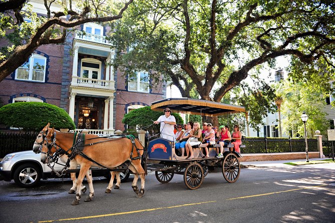 Daytime Horse-Drawn Carriage Sightseeing Tour of Historic Charleston - Pricing and Inclusions