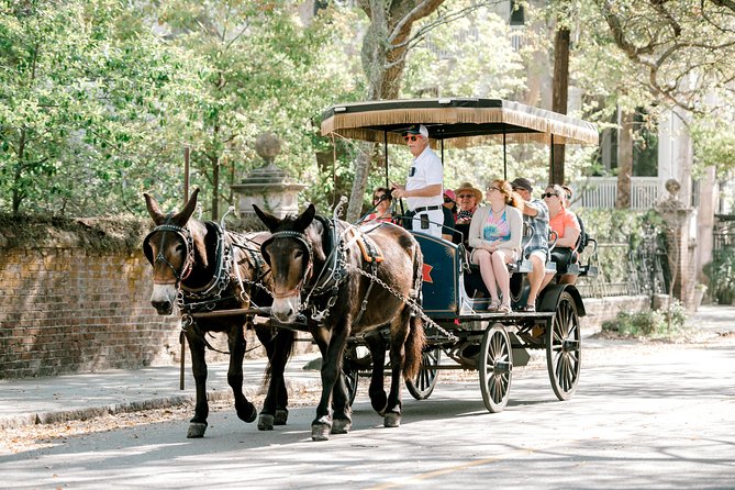 Daytime Horse-Drawn Carriage Sightseeing Tour of Historic Charleston - Highlights and Key Features