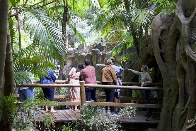 Daytime Scenic Rim Glow Worm Tour - Accessibility and Additional Info