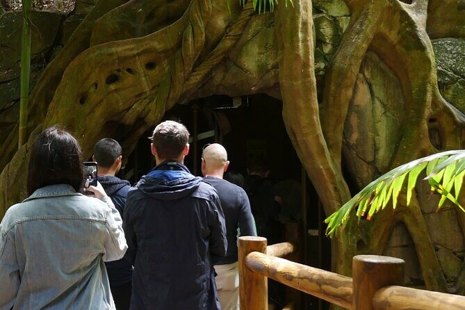 Daytime Scenic Rim Glow Worm Tour + Hop on Hop off Bus - A Deep Dive into the Experience