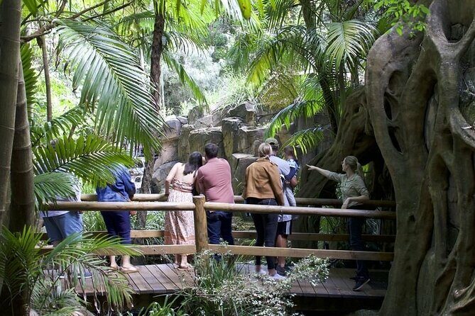 Daytime Scenic Rim Glow Worm Tour + Hop on Hop off Bus - Who This Tour Is Best For