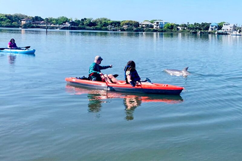 Daytona Beach: Guided Kayaking or Standup Paddling Tour - Wildlife Experience