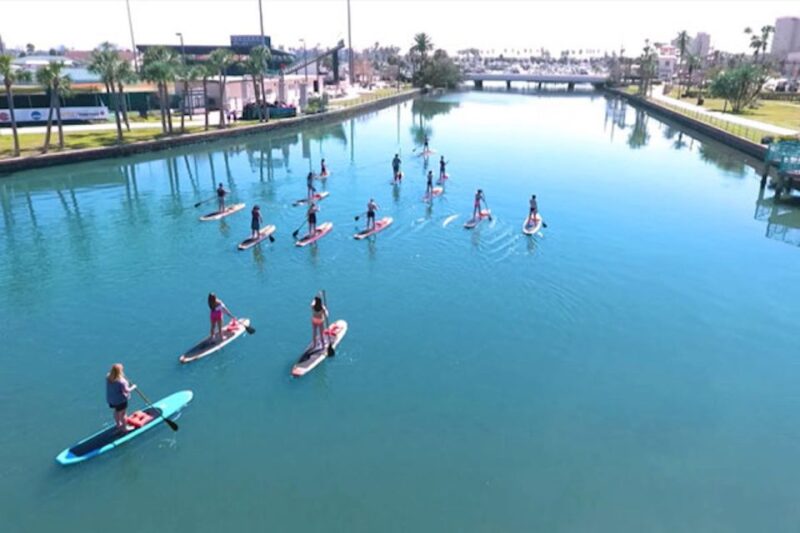 Daytona Beach: Guided Kayaking or Standup Paddling Tour - Paddling Options