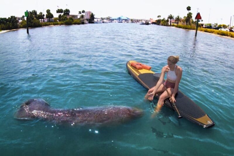Daytona Beach: Guided Kayaking or Standup Paddling Tour - What to Expect