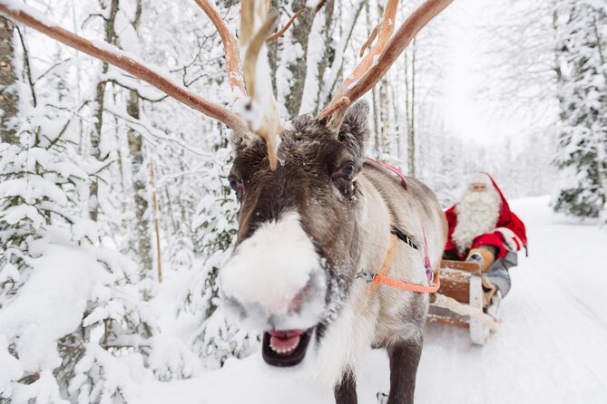 Daytour to Santa Claus Village, Reindeer and Husky Safaris, Photo, and Lunch - Meeting With Santa