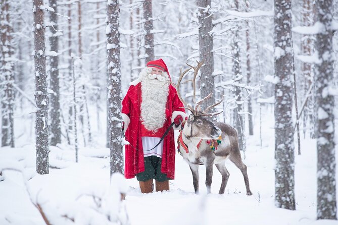 Daytour to Santa Claus Village, Reindeer and Husky Safaris, Photo, and Lunch - Santas Office and Post Office