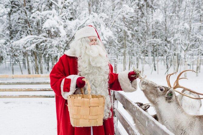 Daytour to Santa Claus Village, Reindeer and Husky Safaris, Photo, and Lunch - Hotel Transfers and Group Size