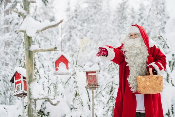 Daytour to Santa Claus Village, Reindeer and Husky Safaris, Photo, and Lunch - Customer Feedback