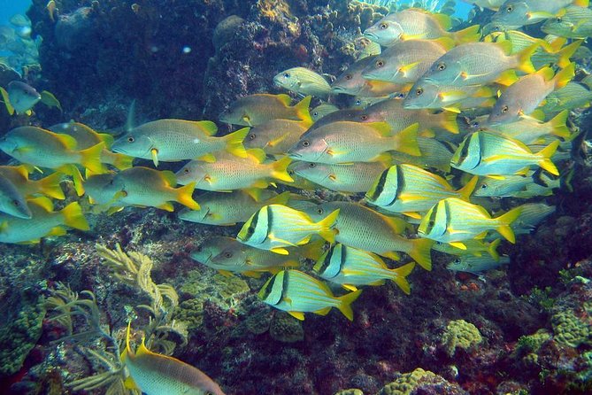 Daytrip Isla Contoy & Isla Mujeres From Cancun - Cancellation and Rescheduling Policy
