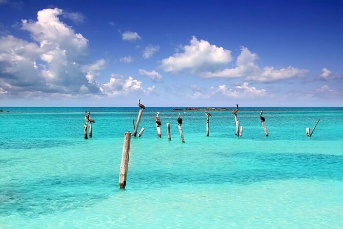 Daytrip Isla Contoy & Isla Mujeres From Cancun - Customer Feedback and Reviews