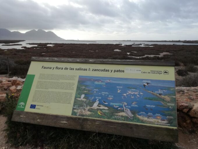 Daytrip to Cabo De Gata-Nijar Natural Park - Unique Geological Formations