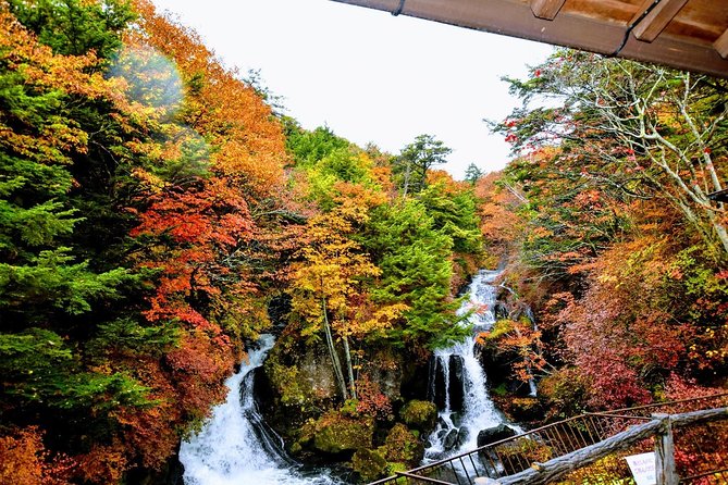 Daytrip to Nikko From Tokyo With Local Japanese Photograher Guide - Tour Details