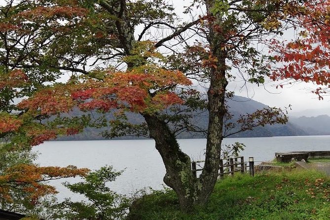 Daytrip to Nikko From Tokyo With Local Japanese Photograher Guide - Cancellation Policy