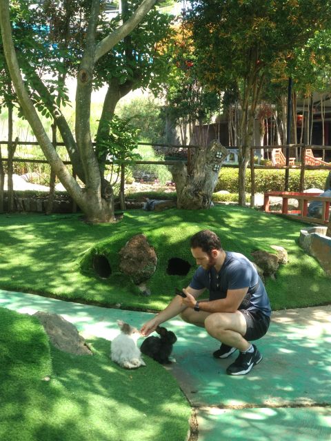 Daytrip Volcano Mountain Tangkuban Perahu Lembang Tour Guide - Customer Reviews