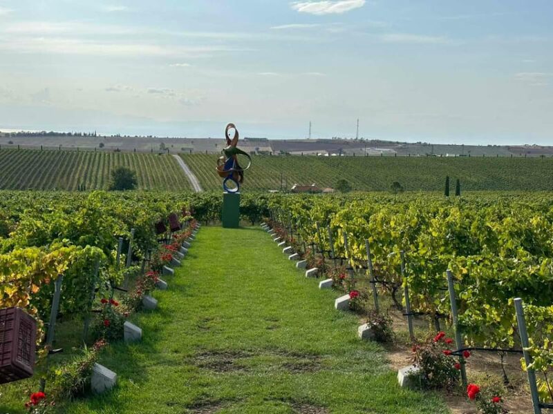 Daytrip:Gerovassiliou Winery,Petralona Cave & Potidea Beach - Key Points