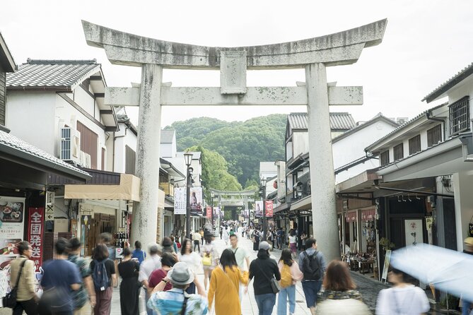 Dazaifu Shrine and Yanagawa River Cruise 1 Day Tour From Fukuoka - Accessibility and Participation Guidelines