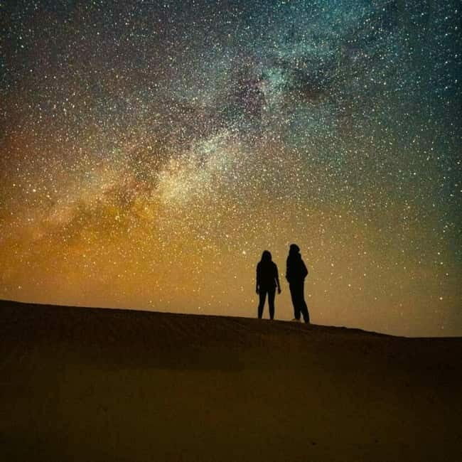 Dazzling Half Day Camel & Desert Safari With Sunset & Dinner - Key Points