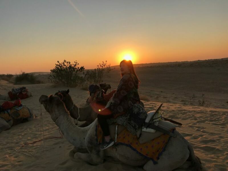 Dazzling Half Day Camel & Desert Safari With Sunset & Dinner - Dinner and Campfire: Authentic Rajasthan Hospitality