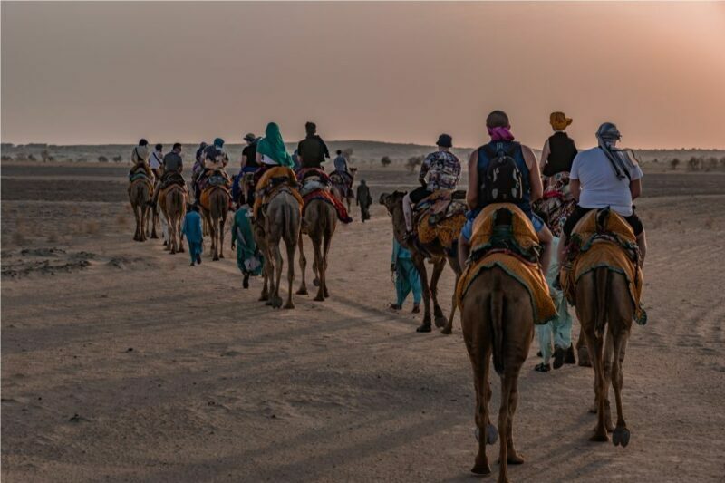 Dazzling Half Day Camel & Desert Safari With Sunset & Dinner - What Makes It Stand Out (And What to Consider)