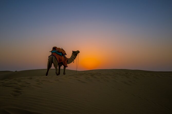 Dazzling Half Day Tour of Camel & Desert Safari With Sunset - Booking Information