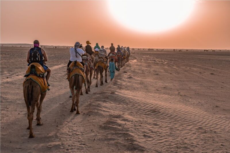 Dazzling Half Day Tour of Camel & Desert Safari With Sunset - Key Points
