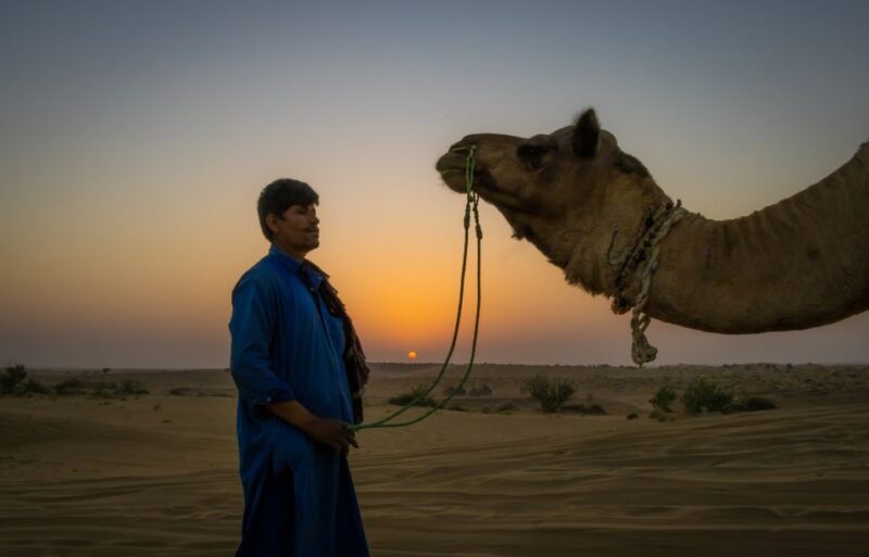 Dazzling Half Day Tour of Camel & Desert Safari With Sunset - Preparation and Recommendations