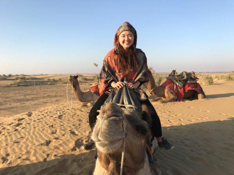 Dazzling Half Day Tour of Camel & Desert Safari With Sunset - Customer Feedback