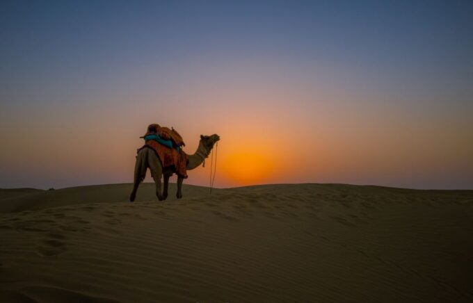 Dazzling Half Day Tour of Camel & Desert Safari With Sunset - Return to Jaisalmer