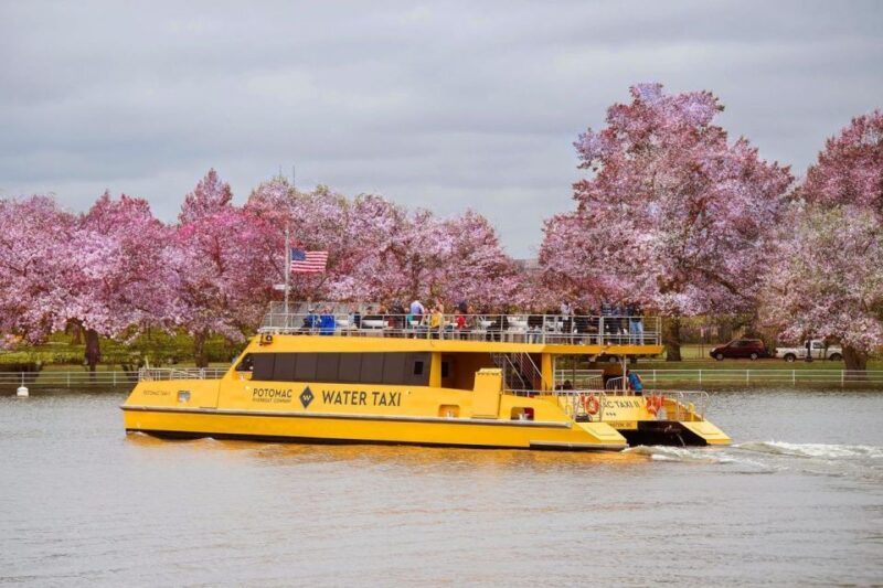 DC: Hop-on Hop-off Bus Tour & Sightseeing Water Taxi Cruise - Key Points
