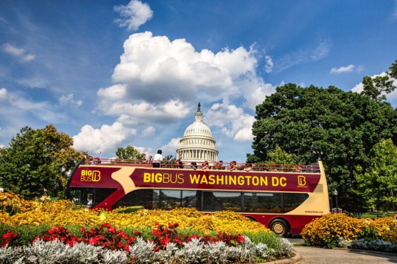 Dc: Hop-On Hop-Off Tour by Open-Top Bus With 17 Stops - Customer Ratings and Reviews