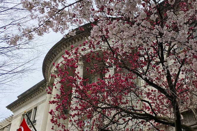 DCs Dupont Circle & Embassy Row Architecture Walking Tour - Scandals and History of DC