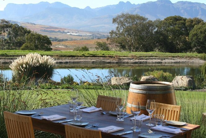 De-Alcoholized Wine Tasting - Experience Overview