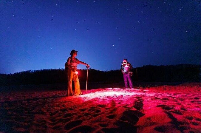 DE rismo and Night Monitoring of Sea Turtles - The Sum Up: Is It Worth It?