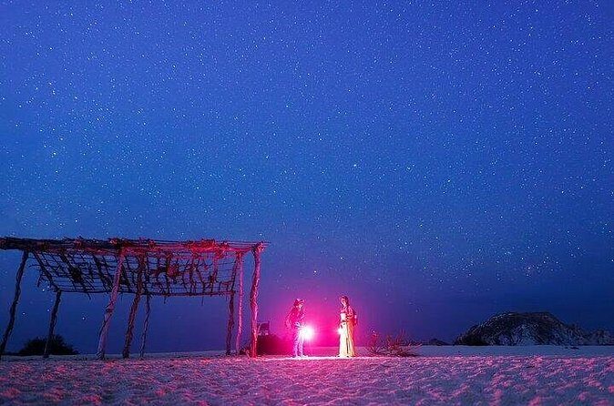 DE rismo and Night Monitoring of Sea Turtles - FAQs
