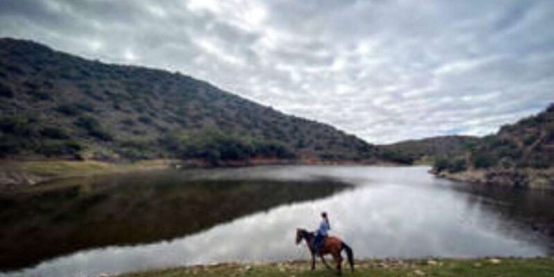 De Rust: Stompdrift Trail - Horse Riding Experience - Experience Highlights