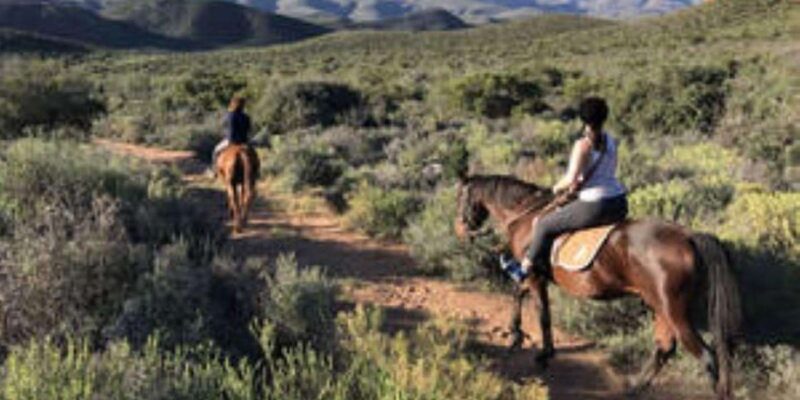 De Rust: Stompdrift Trail - Horse Riding Experience - Nearby Attractions