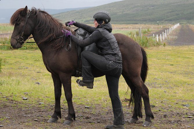 Deacon Horse Riding Tour - Operator Details