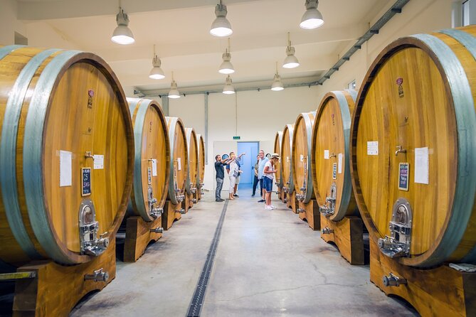 Dealu Mare Wine Country Tour - Lunch Included - Accessible and Inclusive Tour